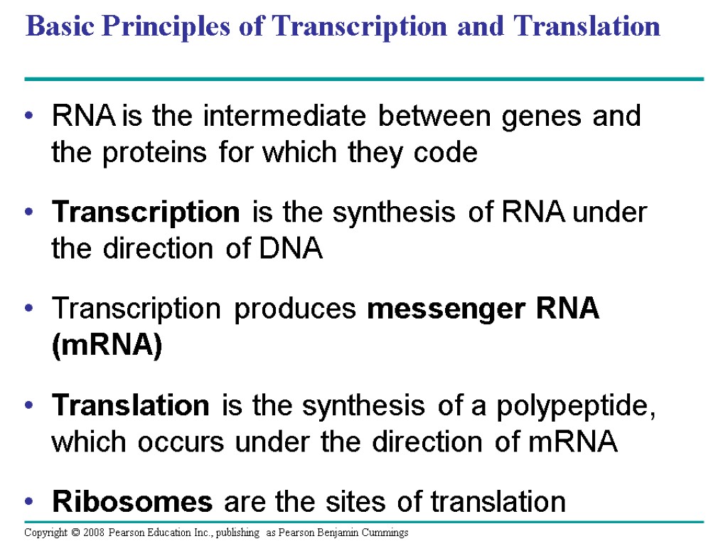 Basic Principles of Transcription and Translation RNA is the intermediate between genes and the